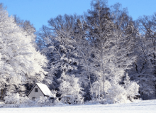 small house in winter landscape with snowy trees