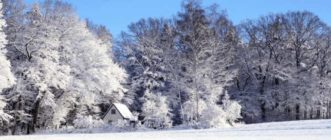 small house in winter landscape with snowy trees