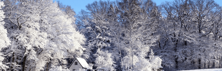 small house in winter landscape with snowy trees