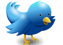 blue twitter bird sending a message