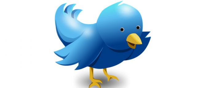 blue twitter bird sending a message