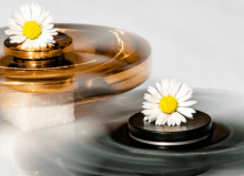 2 fidget spinners with daisies on top