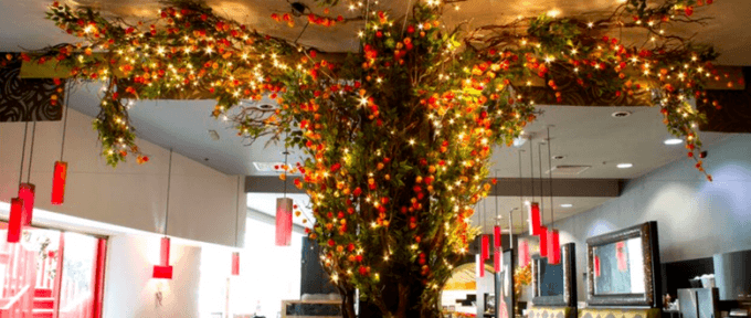interior of yang sing cathay lights on branches of tree to the ceiling