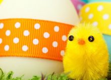 soft toy chicks with easter eggs
