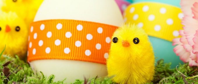 soft toy chicks with easter eggs