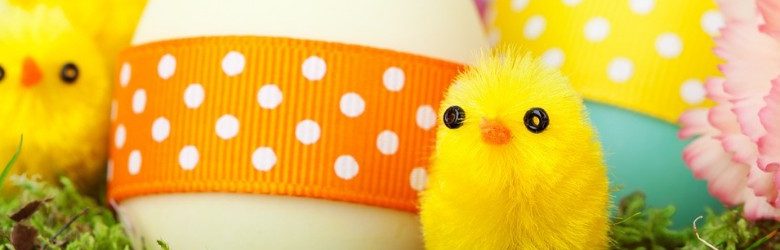 soft toy chicks with easter eggs