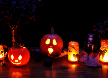 Pumpkins lined up for Halloween
