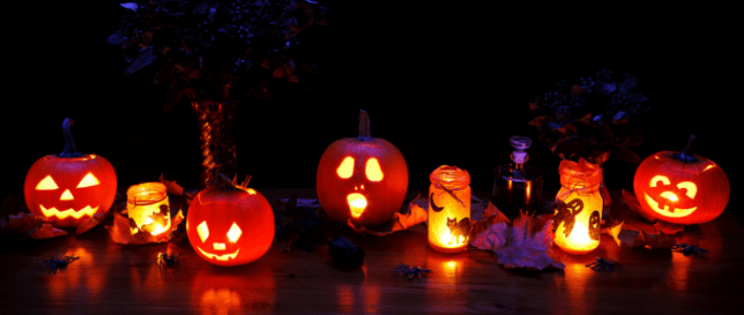 Pumpkins lined up for Halloween